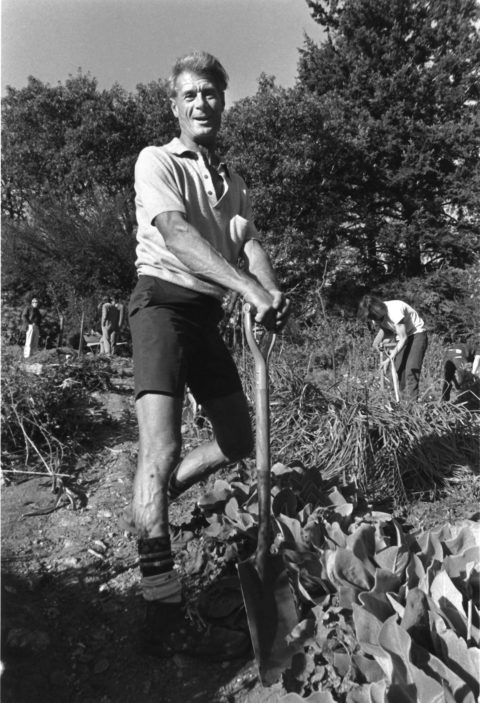 English master gardener, Alan Chadwick, stands in a garden near Merrill College.